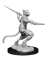 tabaxi rogue figure