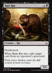 Ruin Rat C Mtg Hour Of Devastation Noble Knight Games