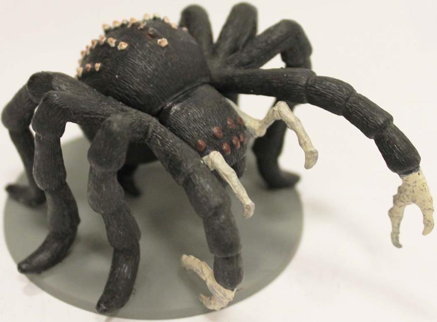 [Image: WTCFNDSPDR01L.JPG]