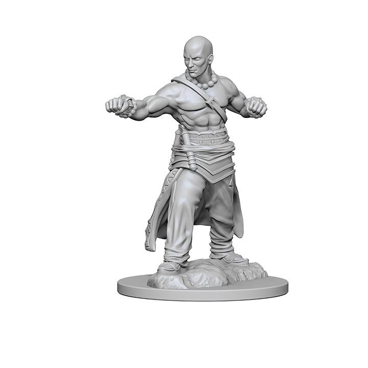 d&d miniatures monk