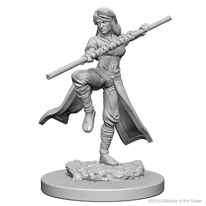 d&d monk figure
