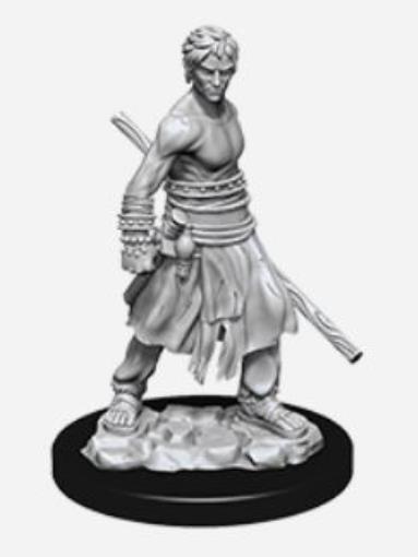 d&d miniatures monk