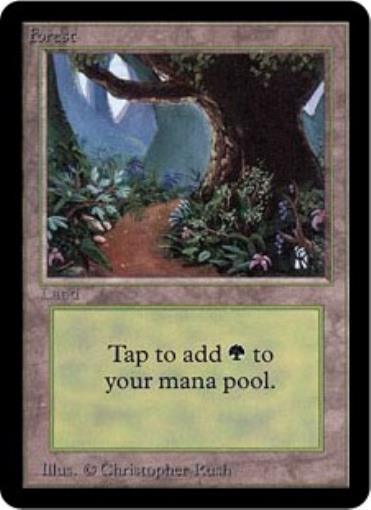 WOTC MtG Alpha Forest Ver 1 C Fair EBay